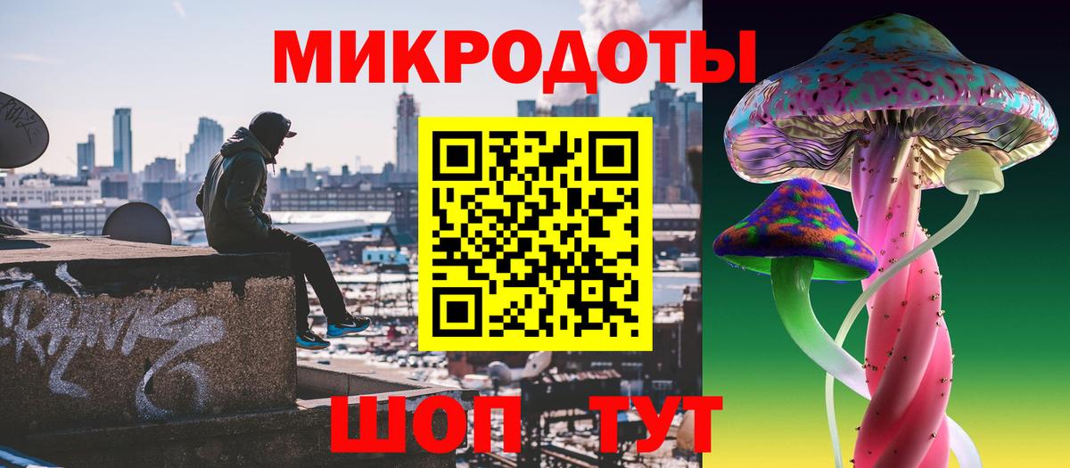 Галлюциногенные грибы Psilocybe Джанкой