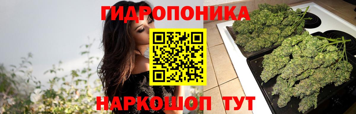 Шишки марихуана семена Джанкой